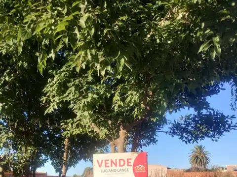 Terreno - Venta - Argentina, Veinticinco de Mayo