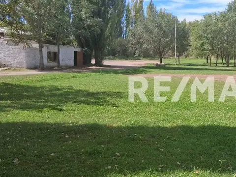 San Luis 2800