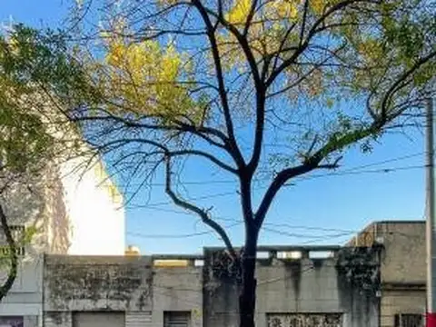 NECOCHEA 2082