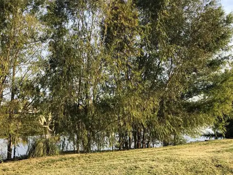 Terreno en Venta de 797,0 m2