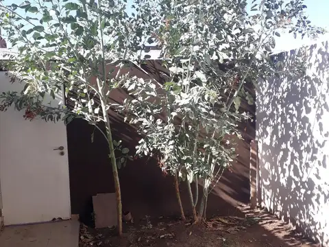 Depto Tipo Casa en Venta con 2 cocheras