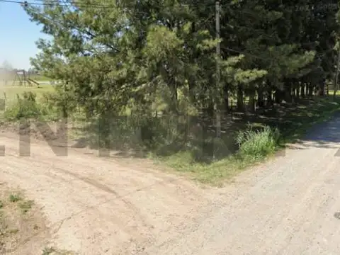 MANSILLA Y ESTANISLAO DEL CAMPO 1000, Piso 0
