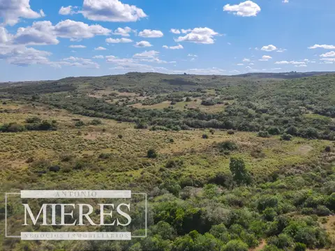 Campo de 19 ha al norte de José Ignacio con arroyo