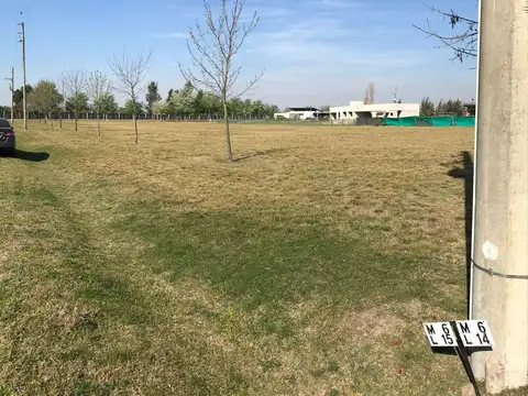 Avenida Juan Pablo II