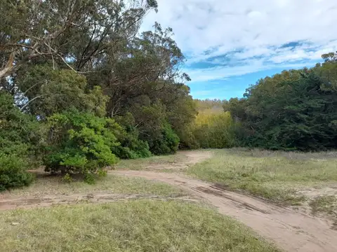 Terrenos en venta - 2.330Mts2 - Arenas Verdes, Lobería