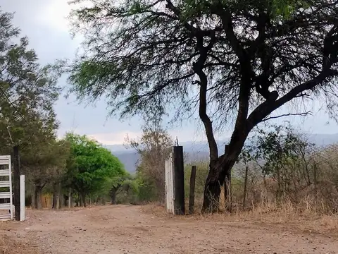 Ruta Nacional 38 Km 614, Amadores, Paclín, Catamarca 100