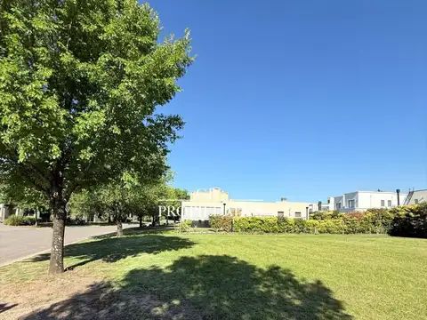 Ayres Plaza 100