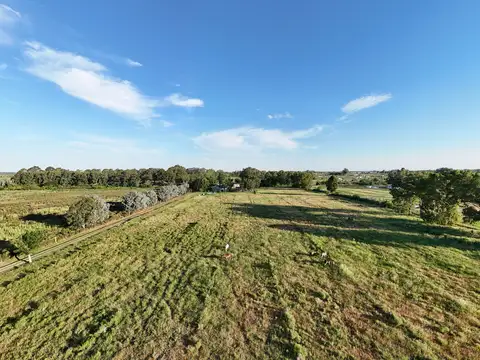 Terreno en Venta de 10000,0 m2