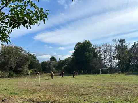 Finca en VENTA de 12 has. - Campo Quijano, Salta