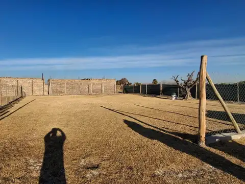 Godofredo Paladini 10000