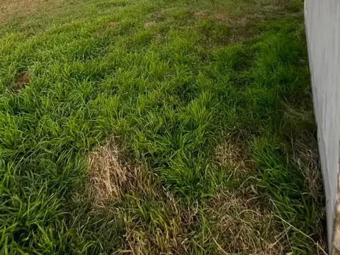 Terreno en Venta de 300,0 m2