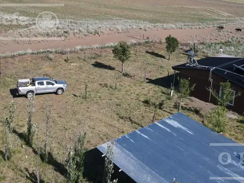 Campo en venta de 27950 has en Gral Alvear Mendoza. Armada para Cria/Recria