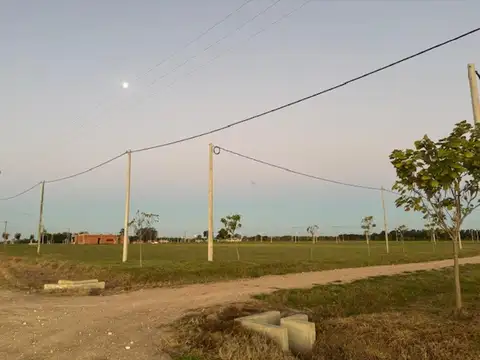 Vendo o permuto 3 lotes de 1.000 c/u Lagos de Obligado