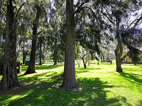 Terreno en Venta 45  mts Fondo