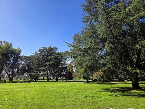 Estanislao San Zeballos al 1300