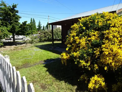 Lago Argentino 300