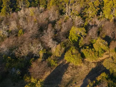 Campo en venta - 20.400Mts2 - Trevelín