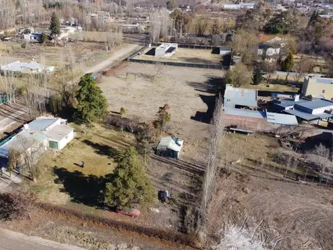 alfonsina storni 400