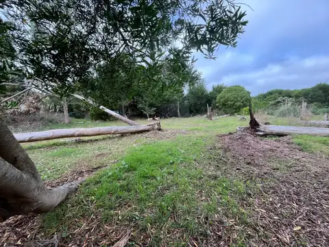 Terreno en Venta, FOS 0.4