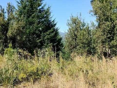 Terreno en Venta de 298,0 m2