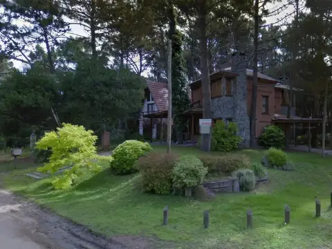 Las Rosas y Los Tulipanes