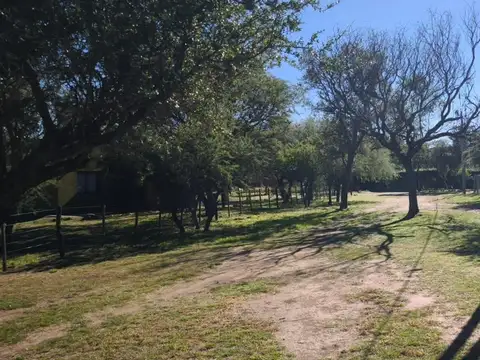 Camino Del Indio