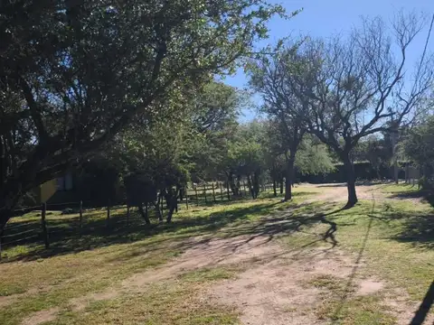 Lote de 1.530 m² en Carpintería valor U$D 22.000