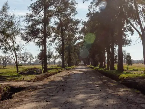 Gral. Rodríguez