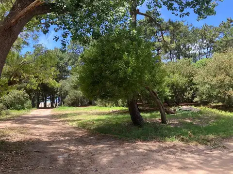 Calle 35 y Mar Azul