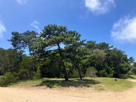 Terreno en Venta 47  mts Frente