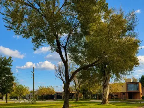 TERRENO EN VENTA - LAS TARDES ROLDAN GRAN UBICACION