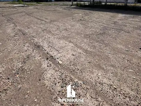 Terreno en Alquiler de 5500,0 m2