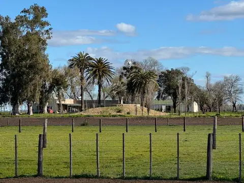 Campo en Venta Mixto