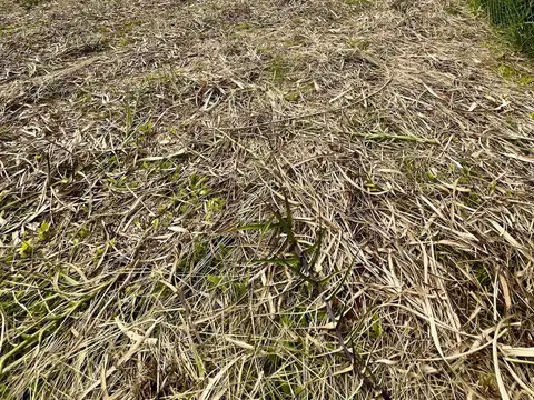 Terreno en Barrio La Loma - Capilla Del Señor