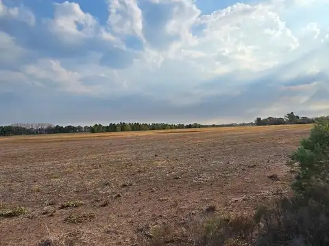 Campo en venta - Alvear - sobre autopista -