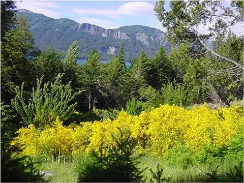 Terreno en Venta, FOS 10