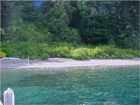 Excelente fraccion costa de lago - Loma guacha