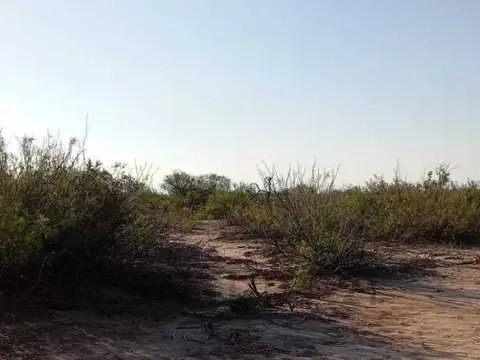 Ruta Nacional 142