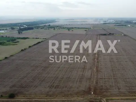 AUTOVÍA RUTA NACIONAL N°19. MI GRANJA. PROVINCIA DE CÓRDOBA.