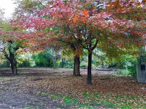 Gran Lote En Venta En Barrio Abierto Dentro De Pilar Del Este, Pilar