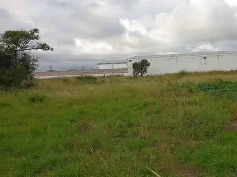 Terreno en Venta, FOT 100