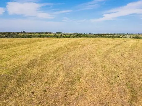 Campo en Venta de 27  ha