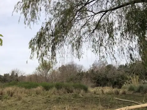 Terreno Lote  en Venta en Benavidez, Tigre, G.B.A. Zona Norte