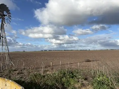 CAMPO MIXTO EN VENTA
