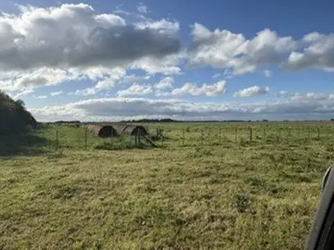 Campo en Venta de 354  ha