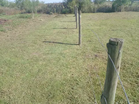 VENTA | LOTE EN BARRIO PALOMAR III – ITUZAINGÓ, CORRIENTES