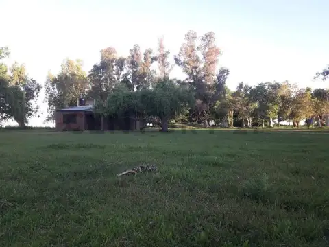 Campo en Ruta 2, km71