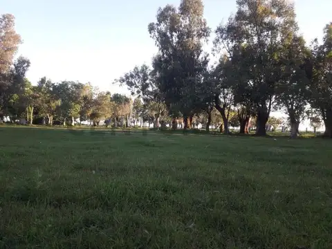 Ruta 2 Km.71 , Piso 0