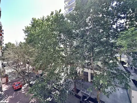 Departamento en Alquiler 17 años
