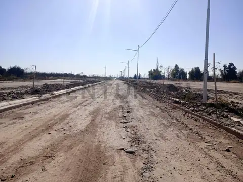 Manuel Cruz Videla 2000